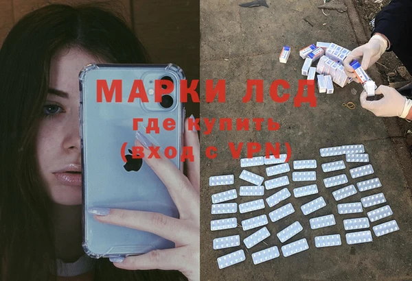 мяу мяу мука Пролетарск