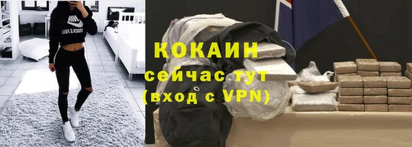 твердый Протвино