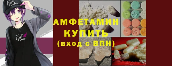 твердый Протвино