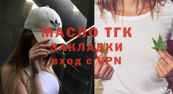 твердый Протвино